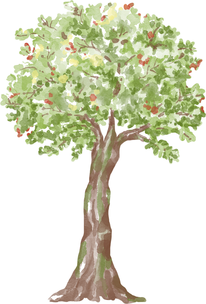 Tree watercolor