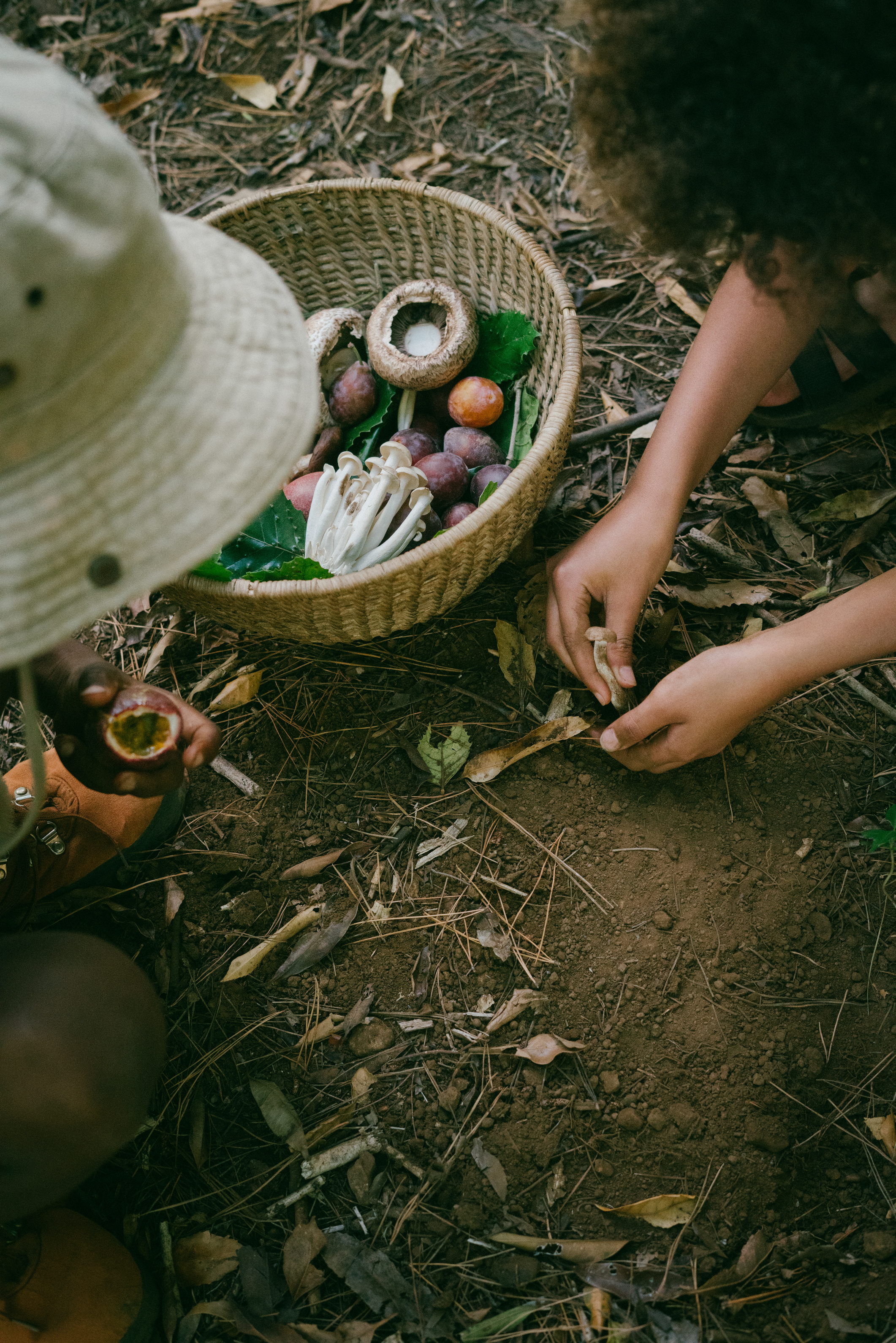 Kid with Wicker Basket Foraging in the Forest